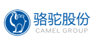 骆驼股份